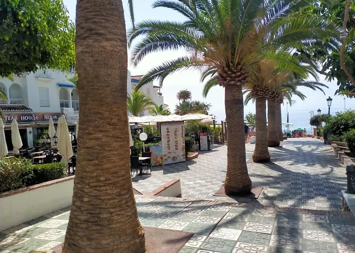 Dima Zona Torrecilla *